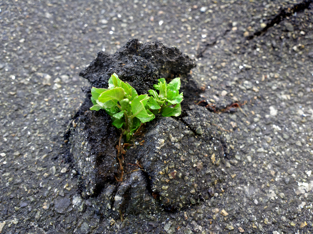 Building Resilience in Critical Systems